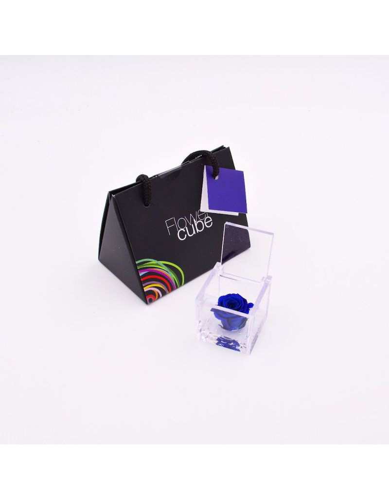 Mini Flowercube 4,5 x 4,5 Azul Perfumado Rosa Estabilizada Mini Flowercube 4,5 x 4,5 Azul Perfumado Rosa Estabilizada