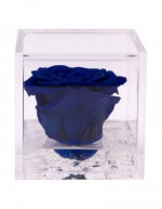 Mini Flowercube 4,5 x 4,5...