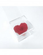 Box with Rosa Cherie Heart...