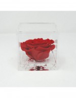 Cubo de Flores 6 x 6 Rosa...