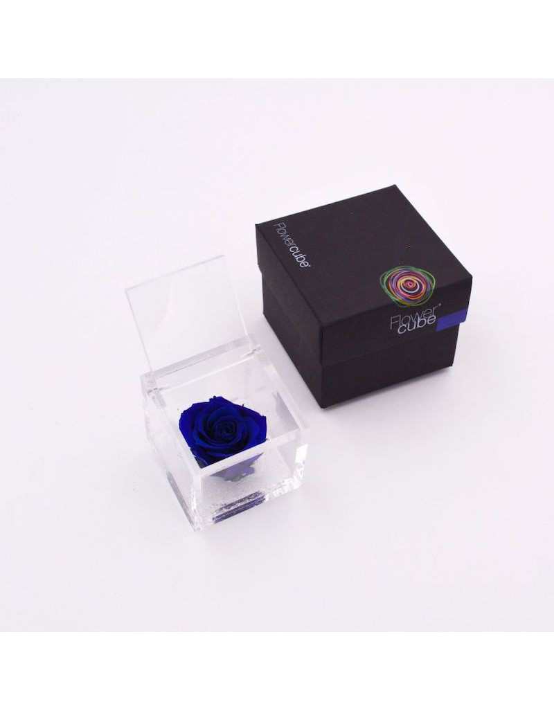 Flowercube 6 x 6 Stabilized... Flowercube 6 x 6 Stabilized...