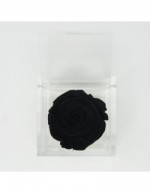 Flowercube 6 x 6 Black...