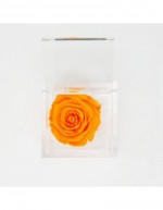 Flowercube 8 x 8 Rosa...