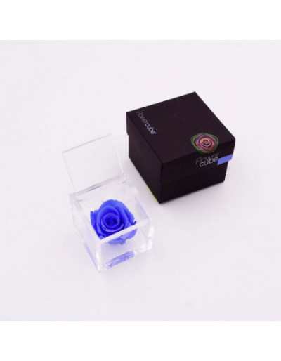 Flowercube 8 x 8 rosa azul...