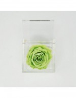 Flowercube 12 x 12 Green...
