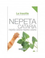 Sementes em Envelope Le Insolite - Nepeta Cataria