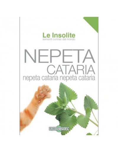 Graines en sachet Le Insolite - Nepeta Cataria