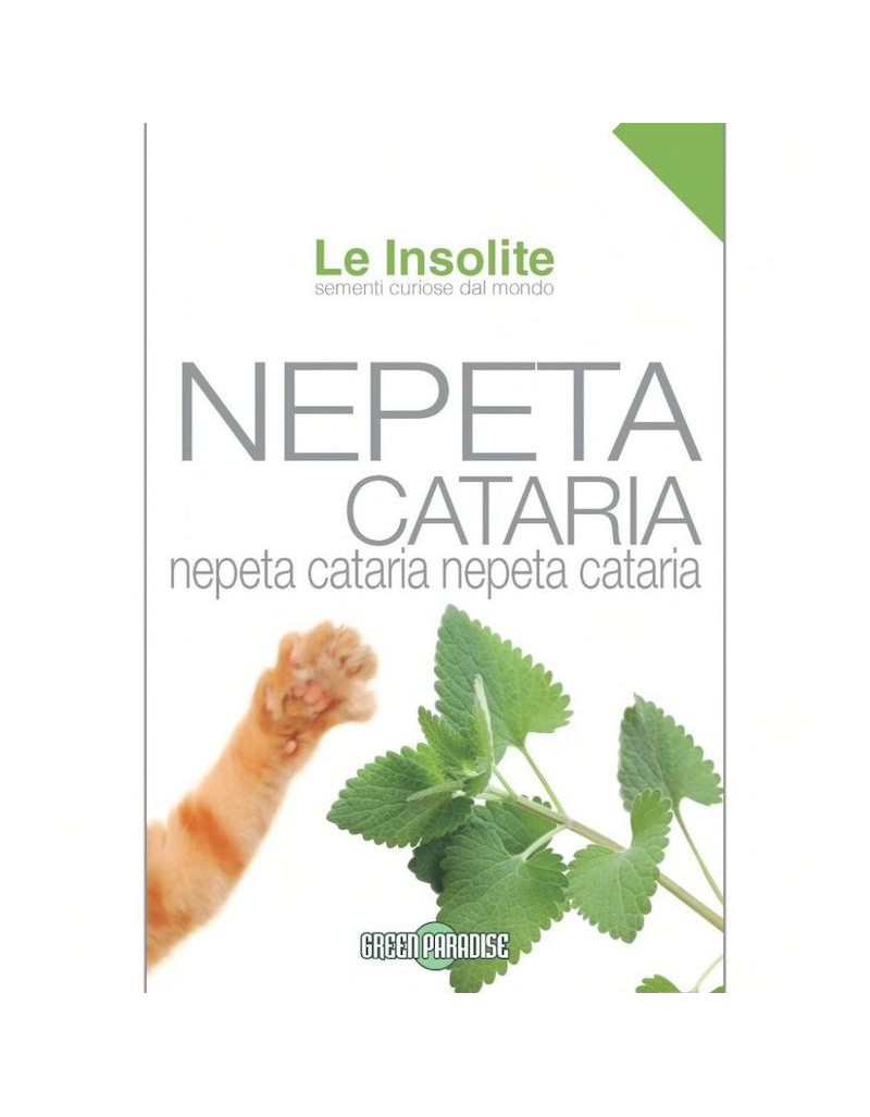 Sementes em Envelope Le Insolite - Nepeta Cataria
