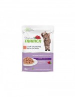 NATURAL CAT MATURE WITH SALMON 85GR