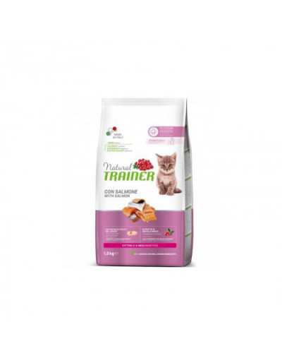 CHAT CHAT NATUREL AU SAUMON KG1