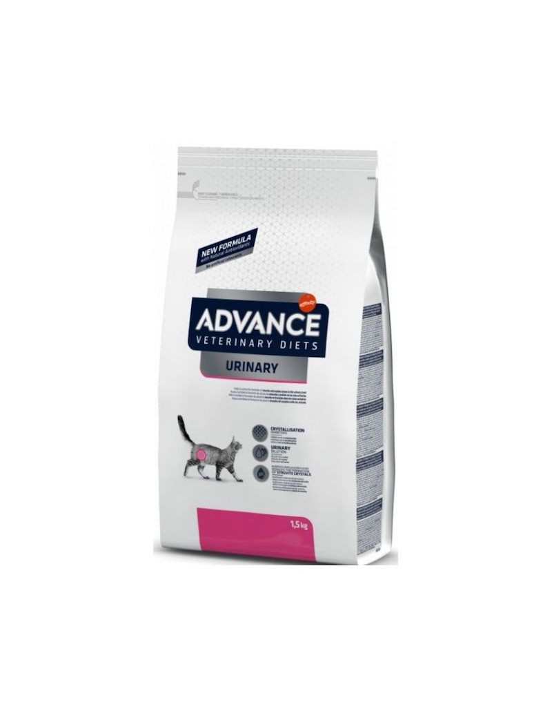 FLASH ADV CAT URINARY 1