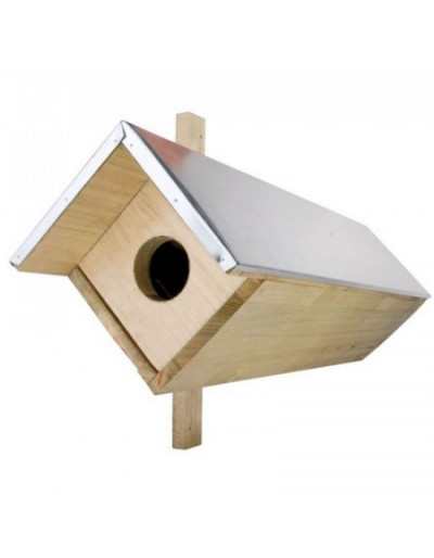 Little Owl Box