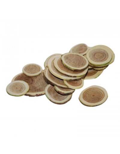 Fette Decorative di Betulla