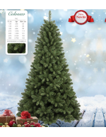 Colosseo albero di Natale abete