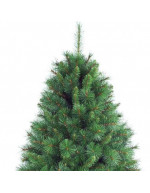 Green Peak Evergreen Christmas Pine