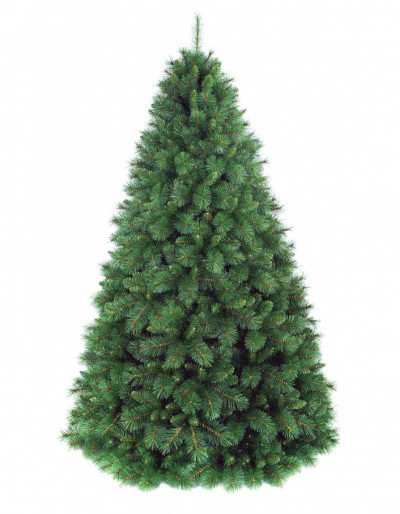 Green Peak Evergreen Christmas Pine