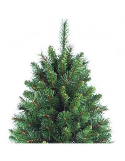 Ponta Green Peak Christmas Pine Slim Evergreen