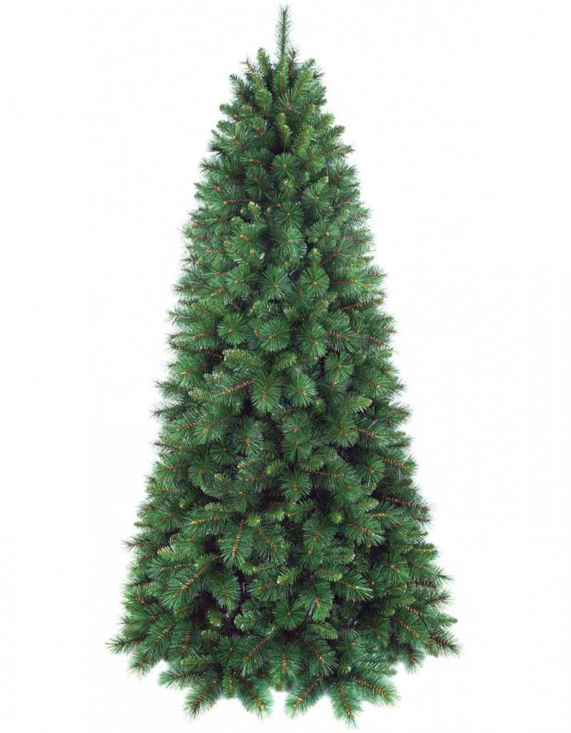 Green Peak Christmas Pine Slim Evergreen