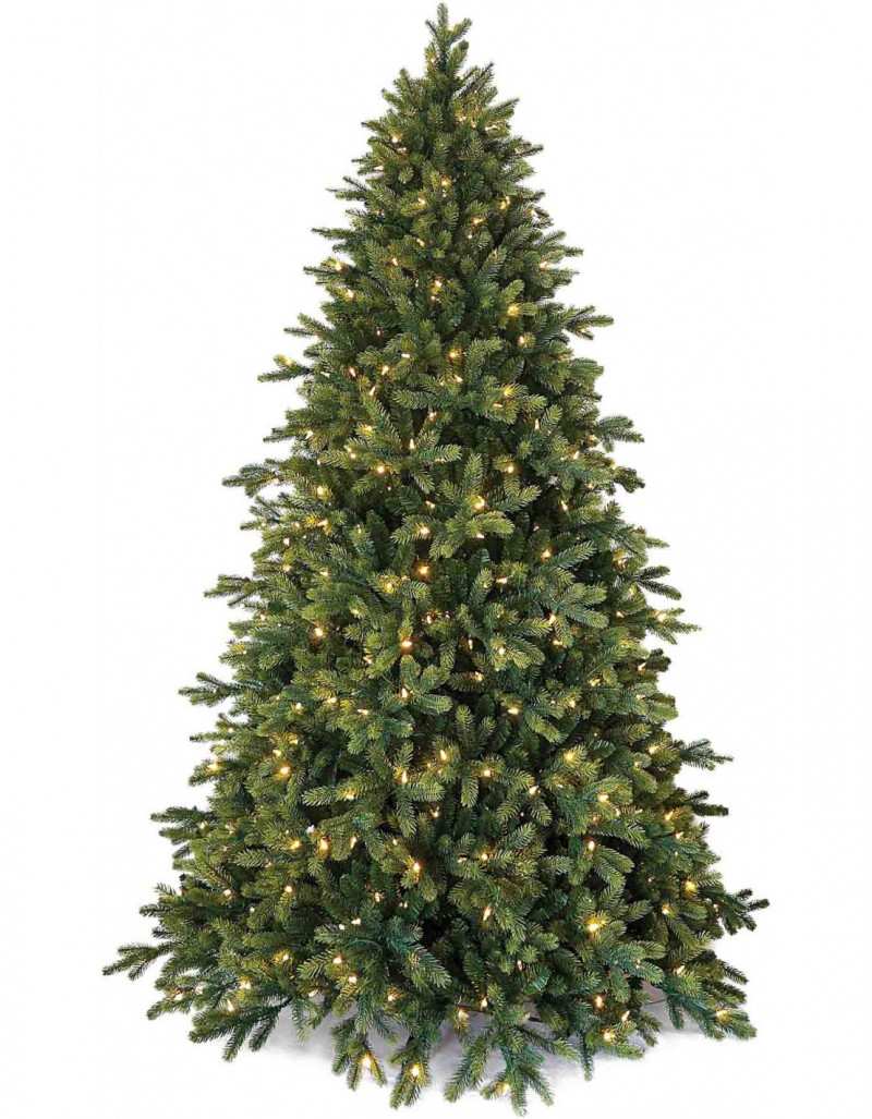 Poly Cumberland Albero di Natale sempreverde