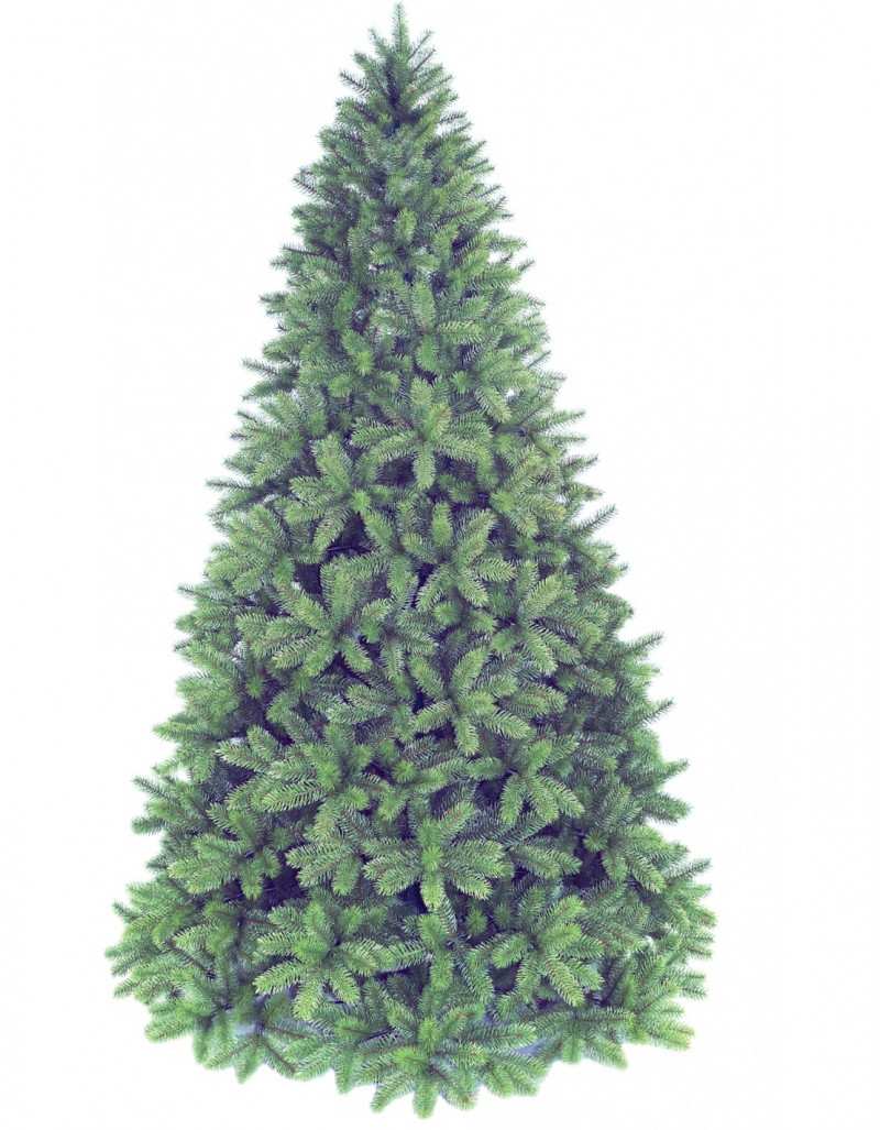 Abeto de Navidad Poly Groden Evergreen Abeto de Navidad Poly Groden Evergreen