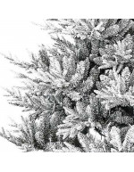 Pinho de Natal Poly Snowy Nordmann detalhado