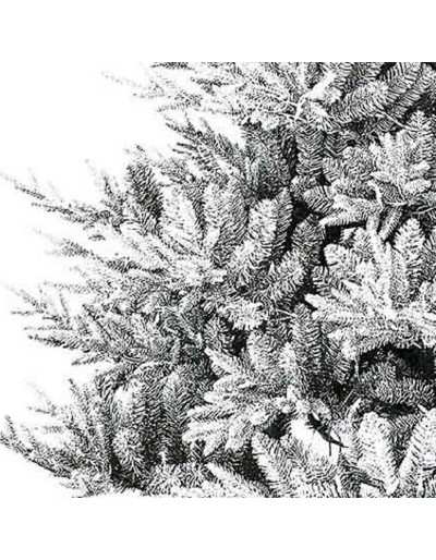 Poly Snowy Nordmann Christmas pine detailed