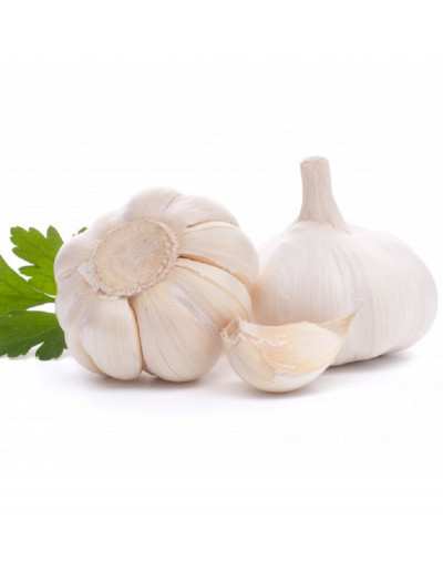 Aglio bianco Bulbo