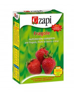 Zapi concime fragole granulare