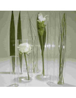 Vase cylindrique en verre...