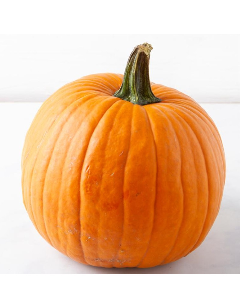 HALLOWEEN CARVING PUMPKIN HALLOWEEN CARVING PUMPKIN