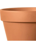 Standard-Terrakotta-Vase 5 cm