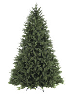 POLY ORTLES SPRUCE