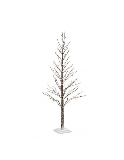 ALBERO GLAD CHAMPAGNE -...