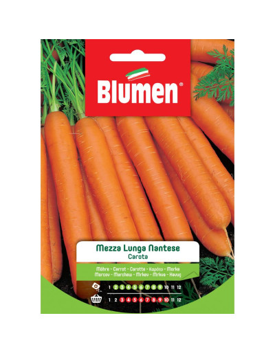 Carota nantese mezza lunga