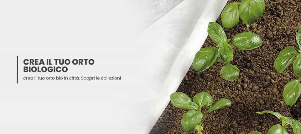 piante-da-orto-e-frutto