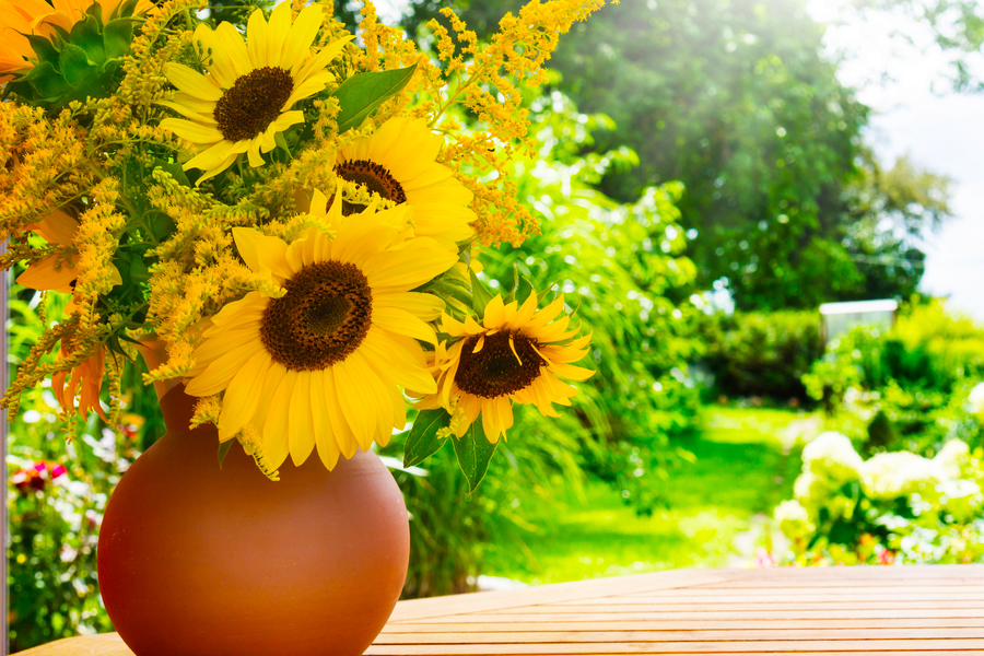 LECTURAS PARA EL VERANO? AQUÍ ESTÁ EL GIRASOL