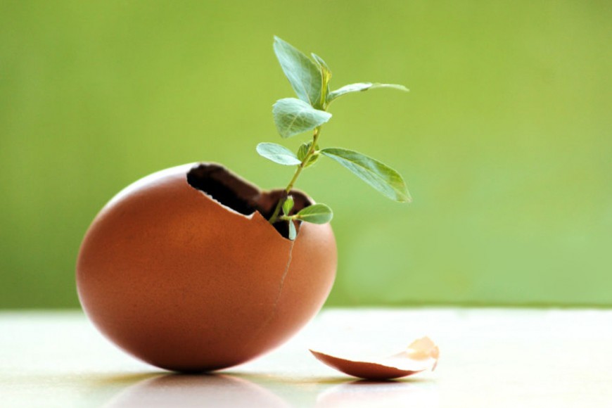 Für Ostern recycelt es Eier auf nützliche und kreative Weise