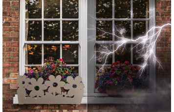 The wind has changed: how to protect your flowers outside from new extreme weather events