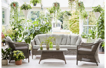 ¡APRESÚRATE! ES HORA DE RECOGER LAS PLANTAS DE INTERIOR.