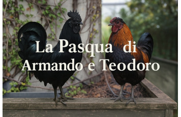 Armando and Teodoro's Easter – A true story from our garden